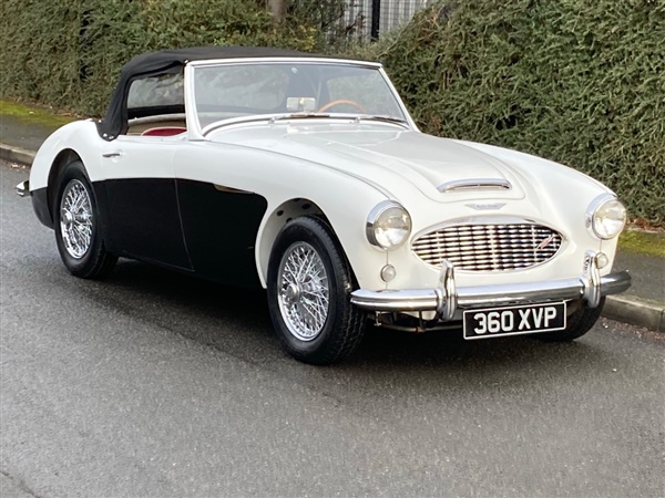 Large image for the Used Austin Healey Healey